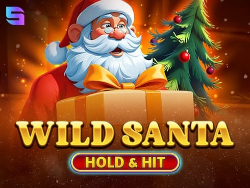 Wild Santa - Hold and Hit game thumbnail